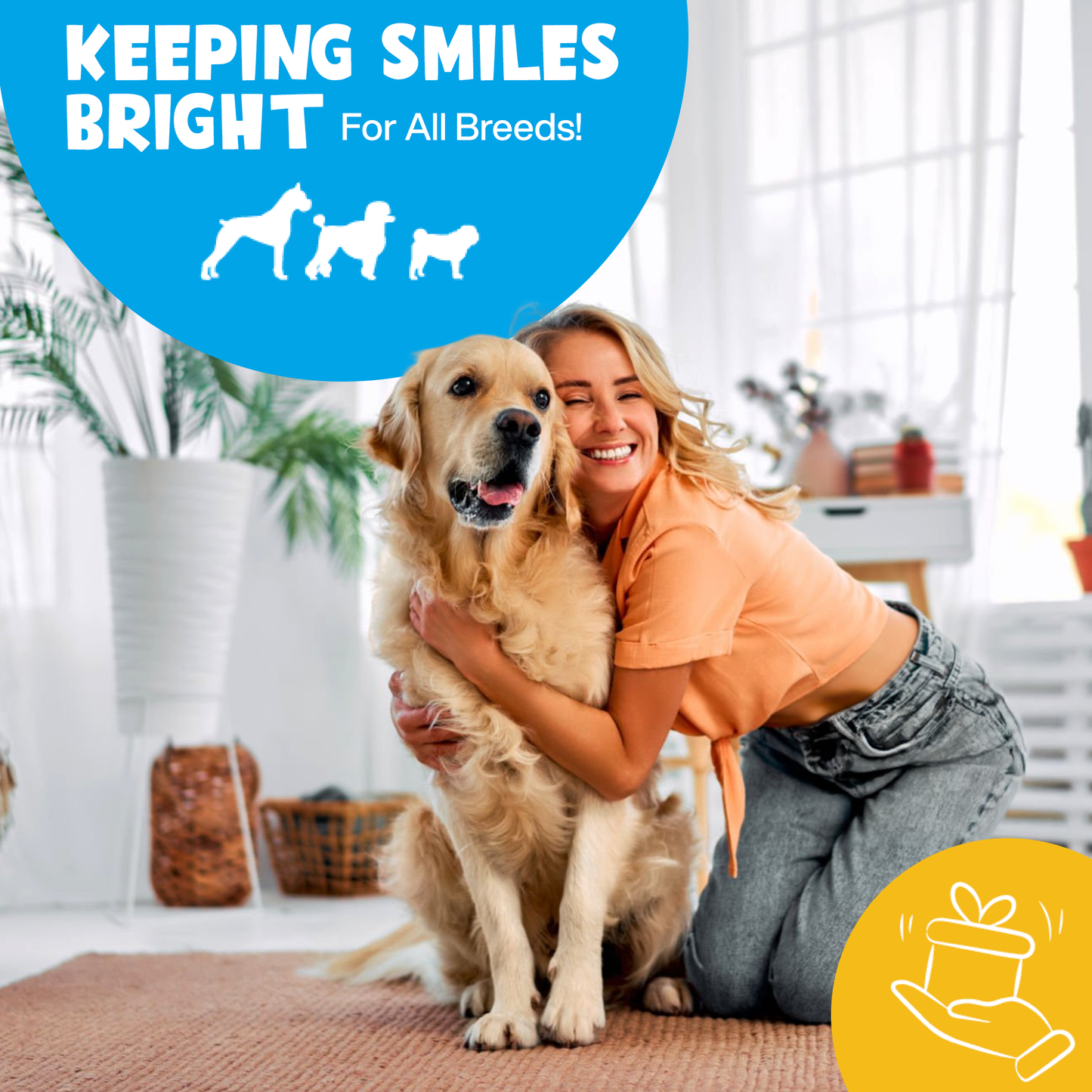 Roofus Dental Wipes | Mint