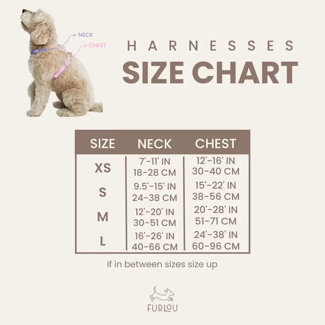 Yellow & Pink Dog Strap Harness