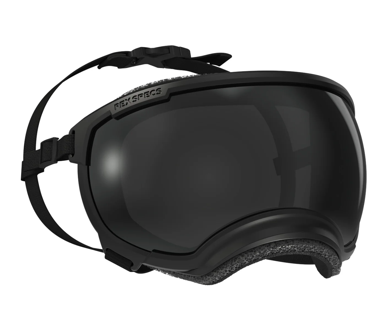 Goggles for Dogs - V2
