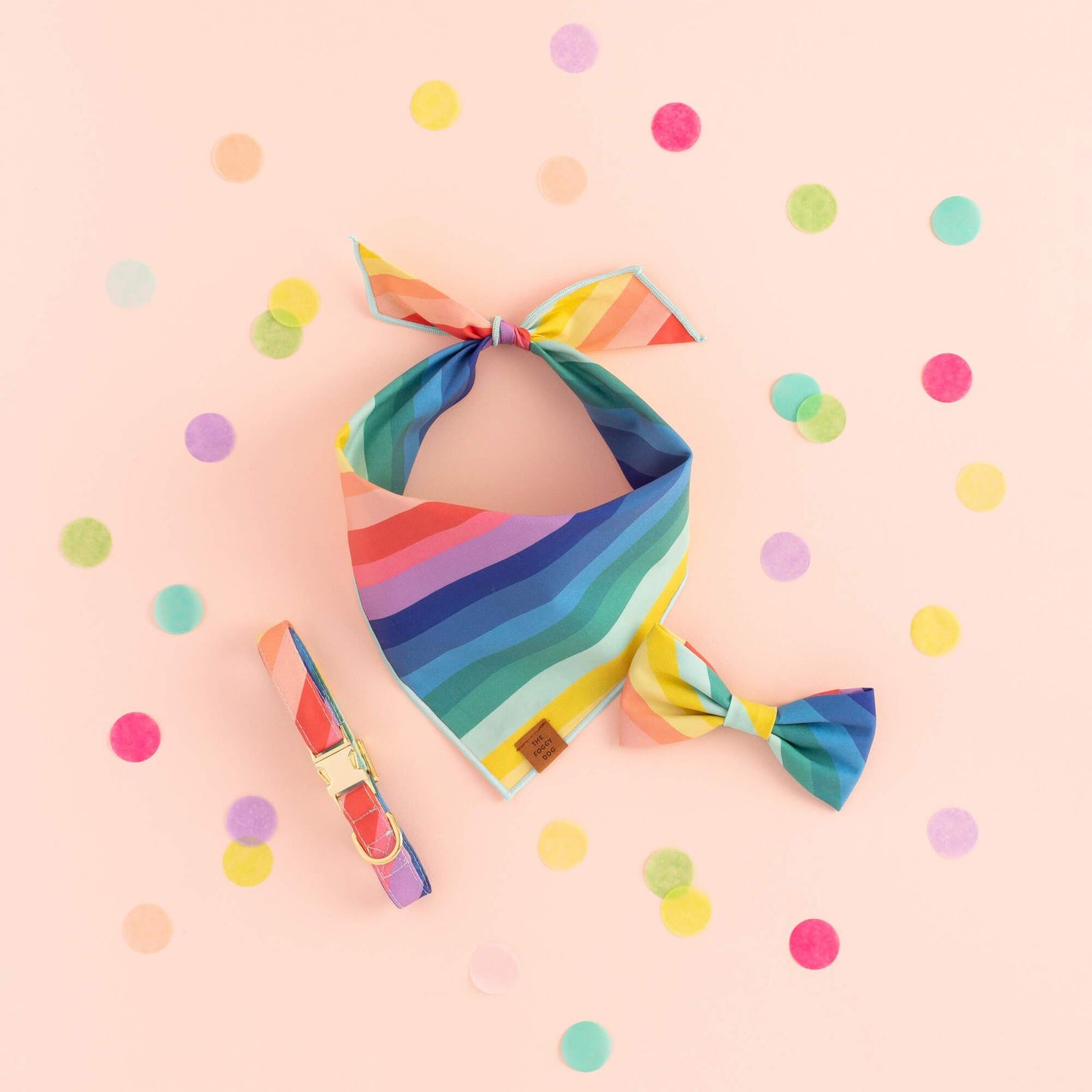 Over the Rainbow Dog Collar