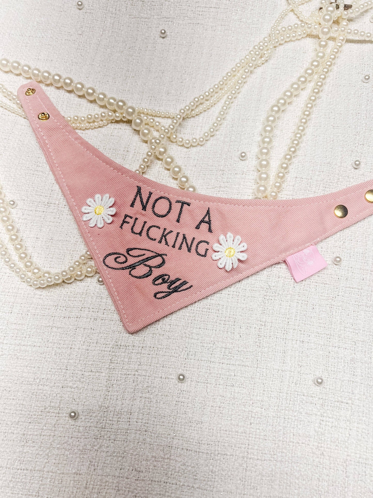 I’m Not A Boy Embroidered Reversible Dog Bandana