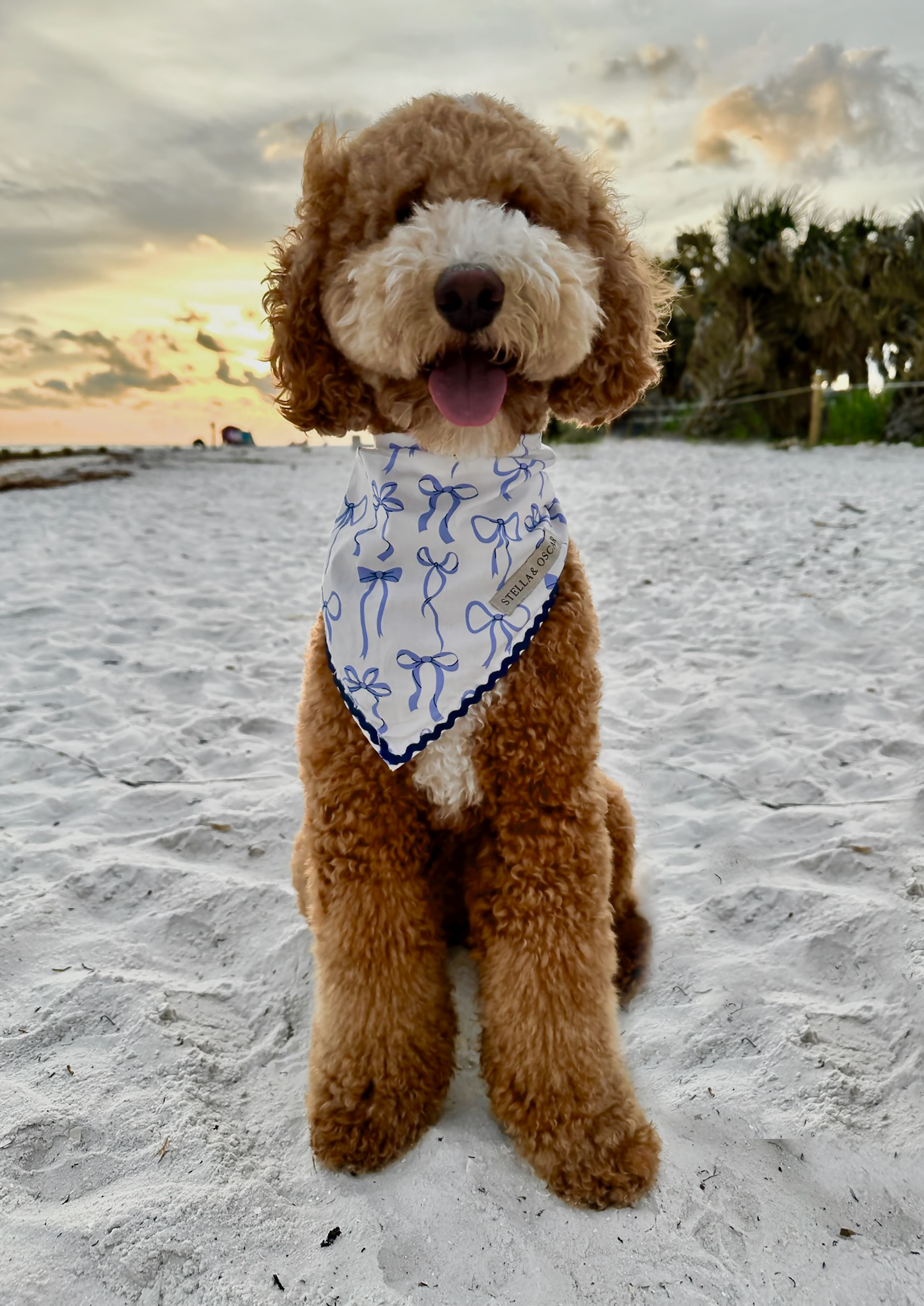 Stella & Oscar Ocean Knot Bandana