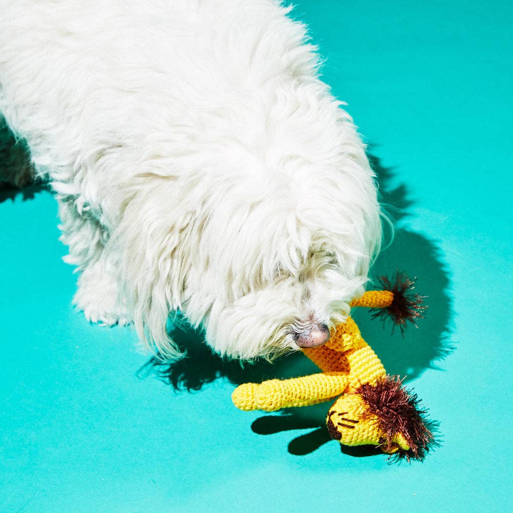 Hand Crochet Lion Dog Toy