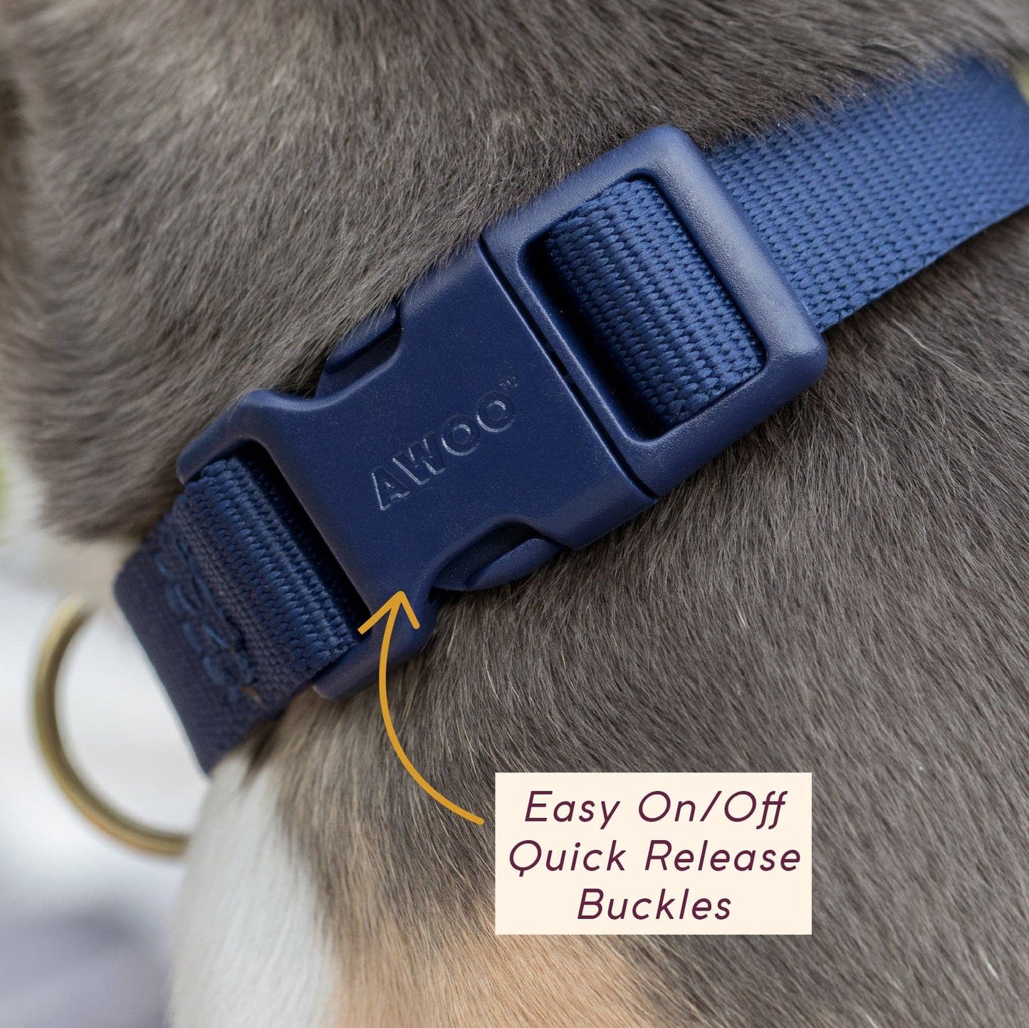 Pack Collar: PINE