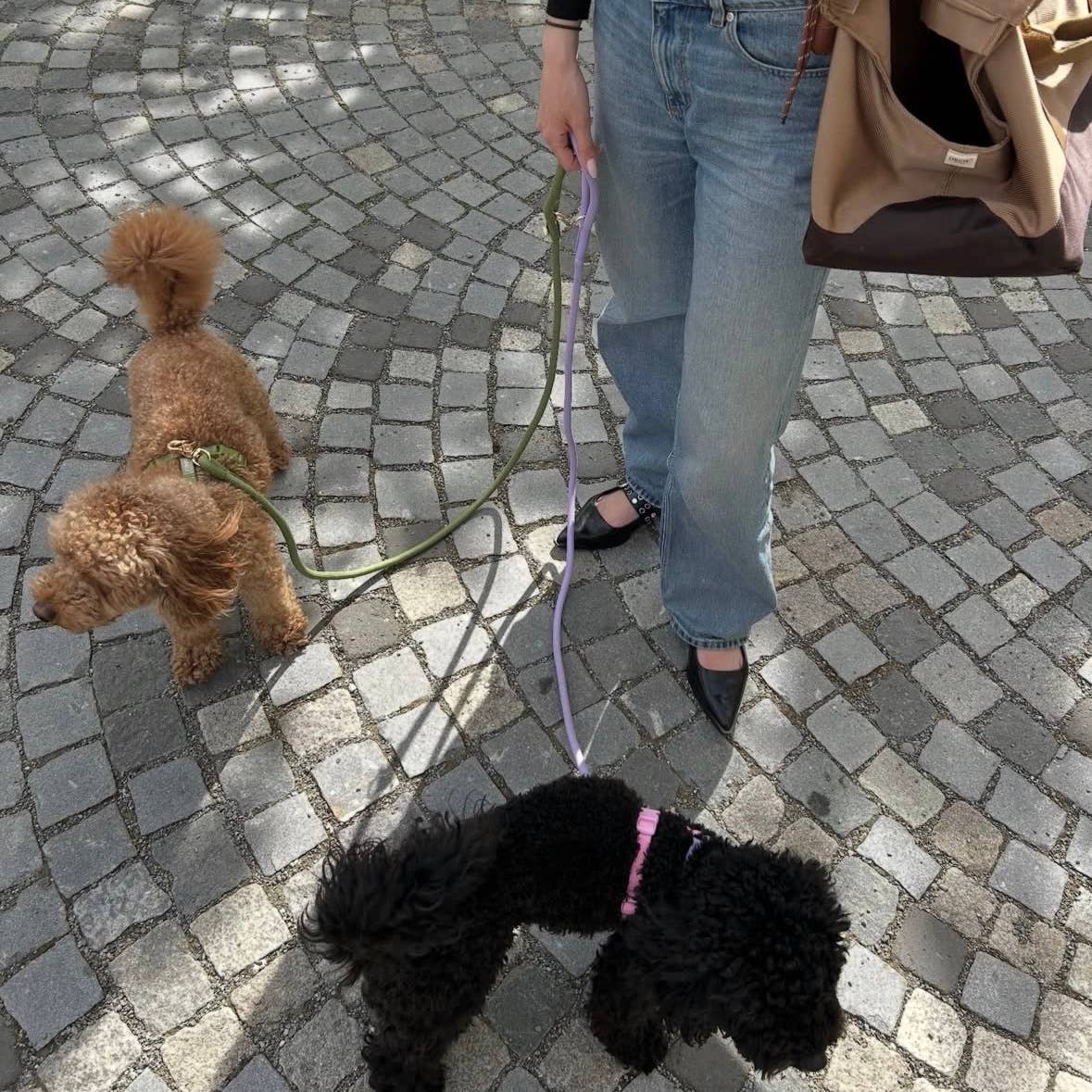 'Brown' - Braided Rope Leash
