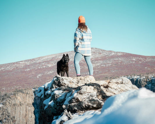 Top 7 Pet Supplies Every Colorado Dog Owner Should Have in 2026