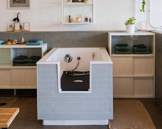 The Ultimate Guide to Keeping Your Dog Clean Happy and Healthy in Denver