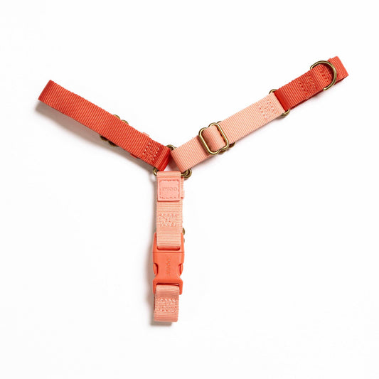 Roam Harness: CANDY / Large