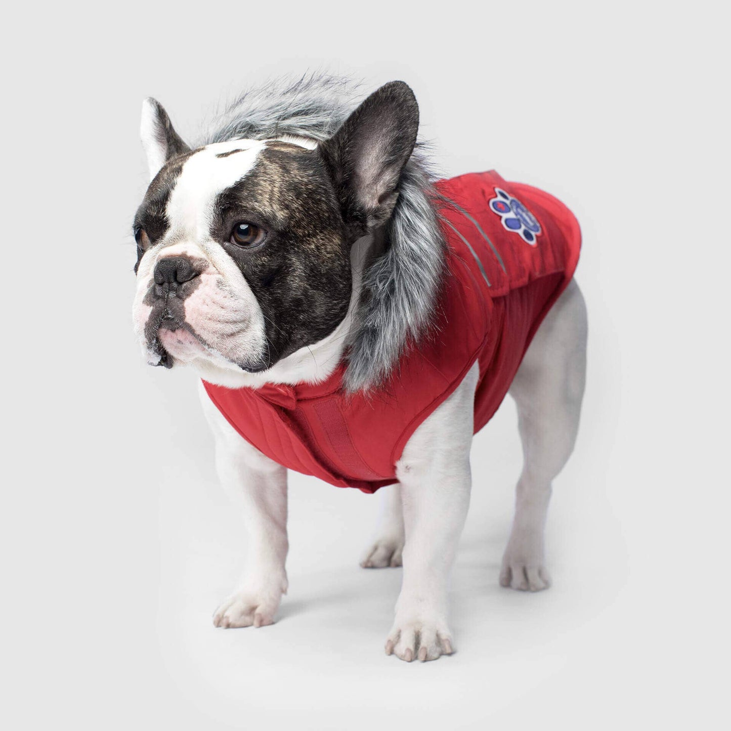 Everest Explorer Jacket- Dog Coat: Red Reflective
