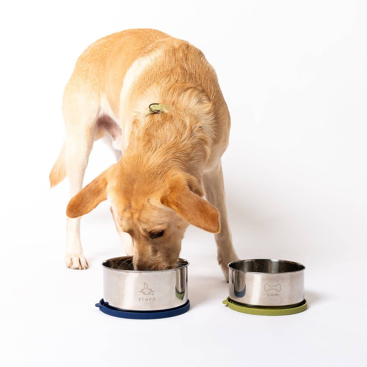 Dining Duo Stainless Steel Nesting Bowls