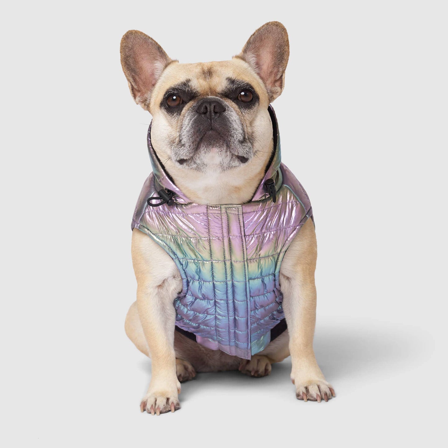 Shiny Puffer Vest- Dog Coat: Iridescent