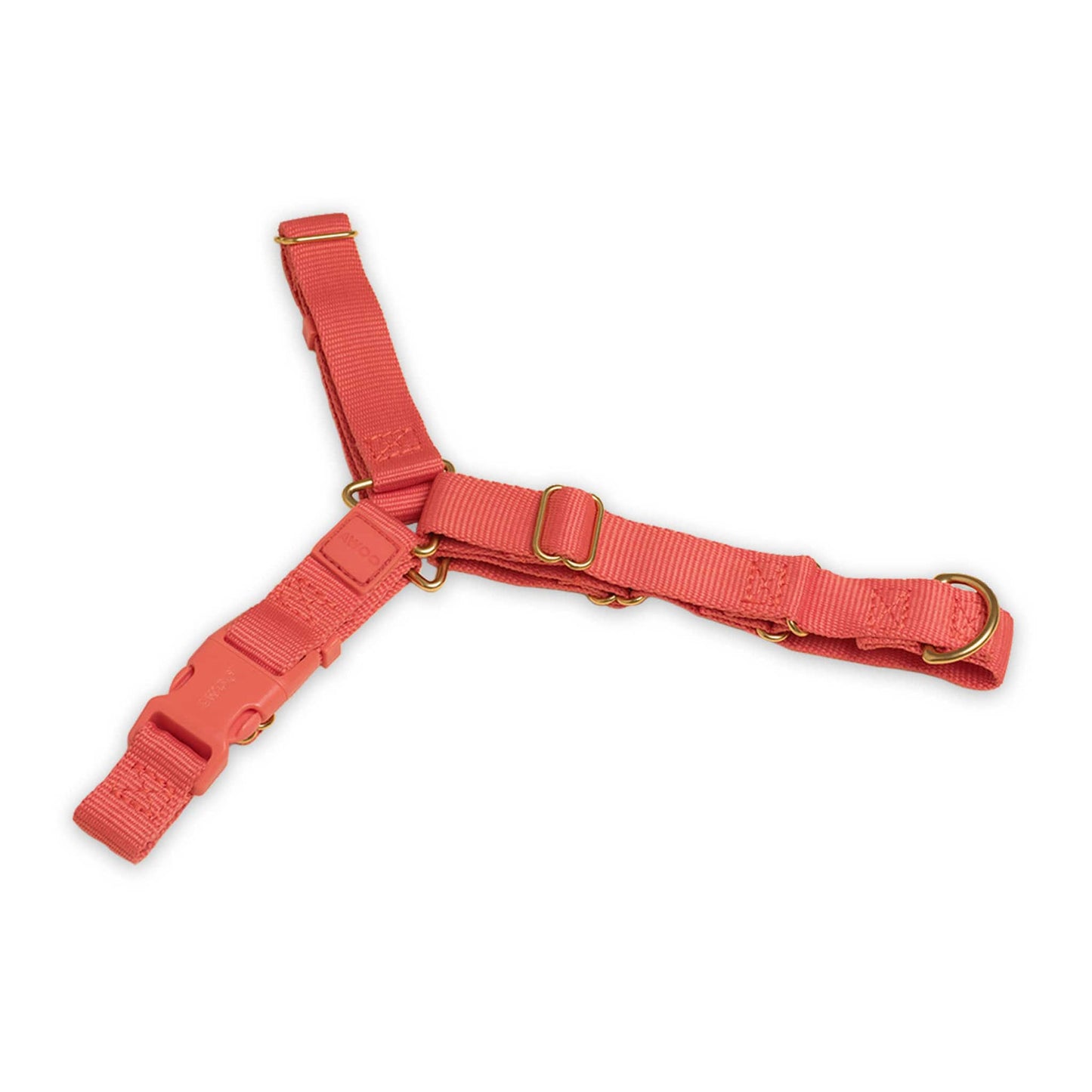Roam Harness: PINE