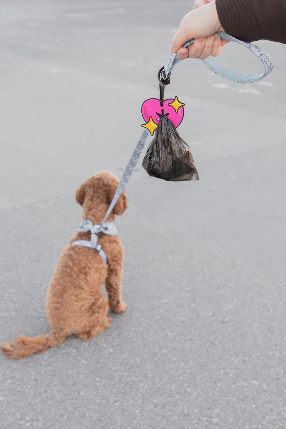 Sparkle Heart Poopy Loop® Used Dog Waste Bag Holder