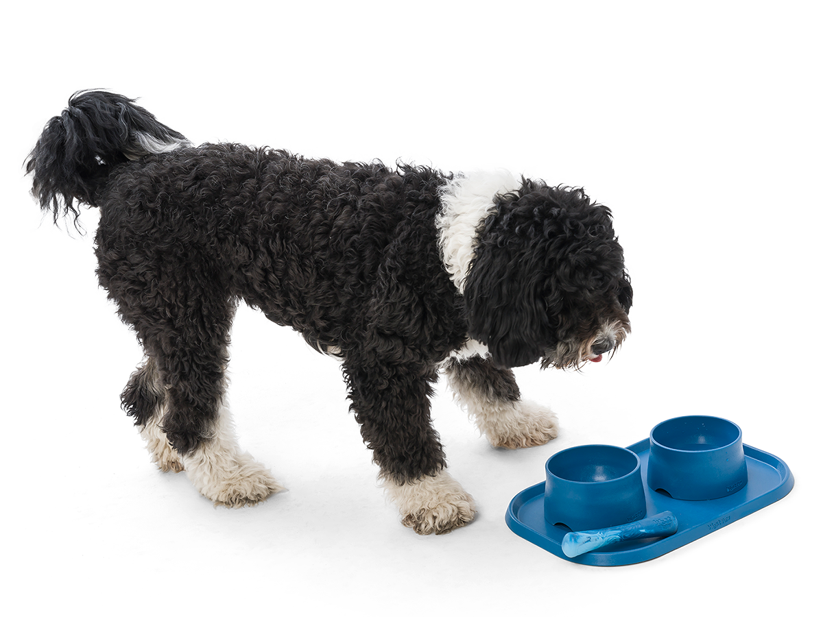 Drifty® Dog Toy for Chew, and Fetch