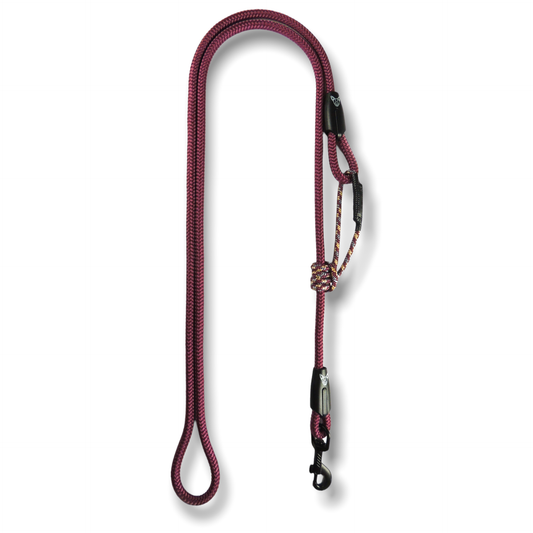 Brisbane - Extendable Dog Leash: 5.00 mt / Climb