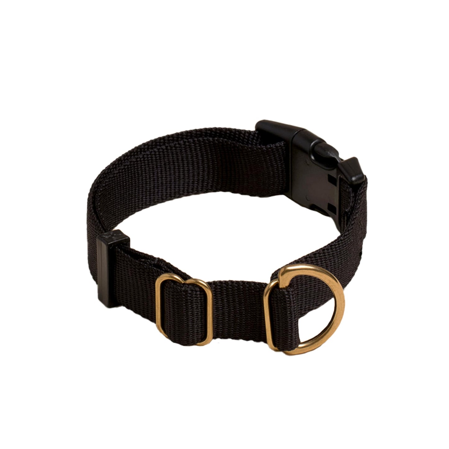 Pack Collar: PINE