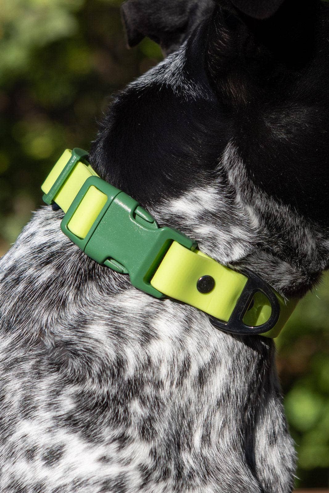 Mossy Pine Waterproof Dog Collar: Chartreuse / Willow Green / 17 - 20