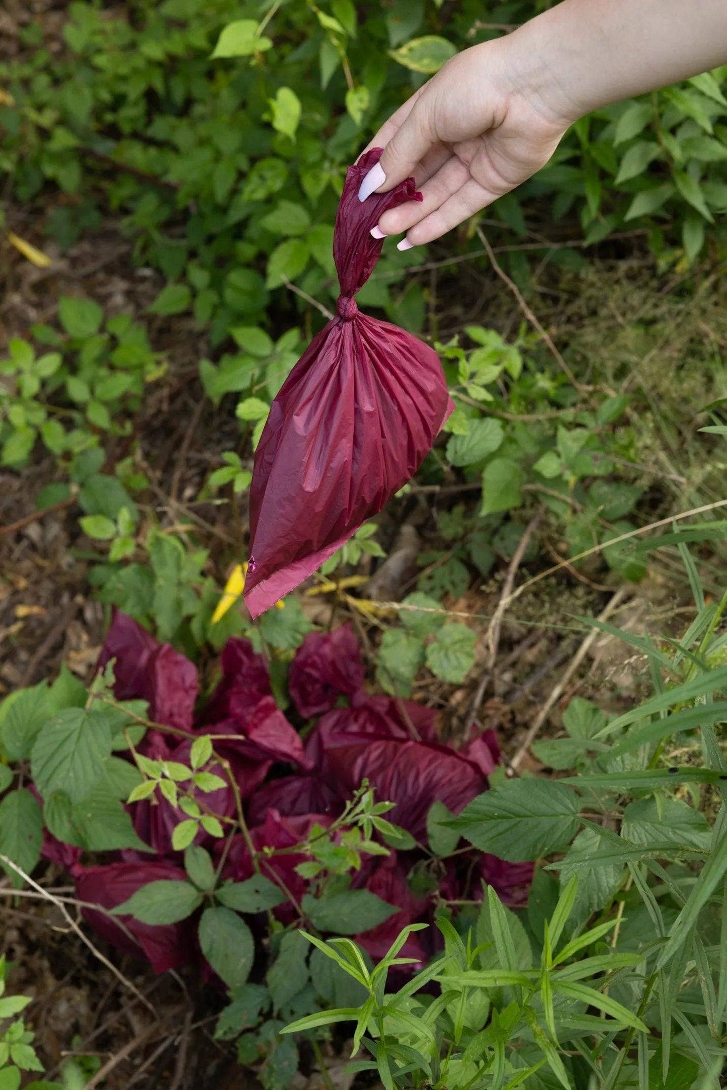 Plant Based Compostable Waste Bags: Pomegranate / 6 Rolls - 60 Bags