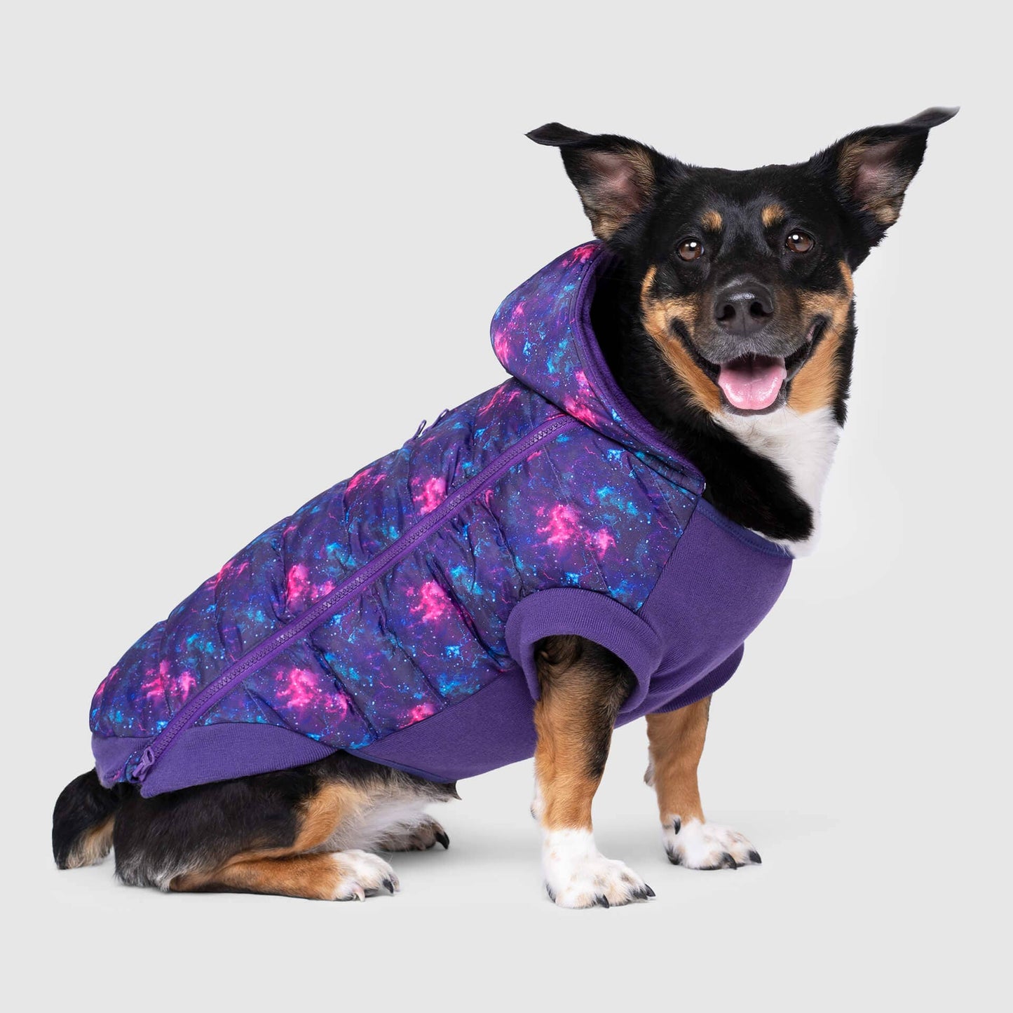 Prism Puffer- Dog Coat: Galaxy / 8
