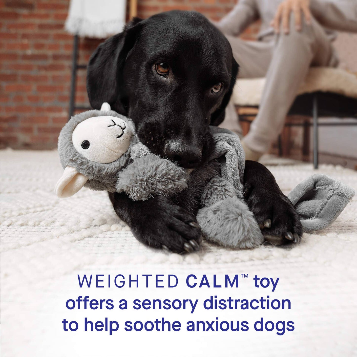 Weighted Calming Dog Toy: Grey Lamb / S/M