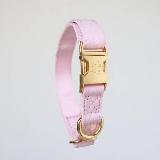 Pastel Pink Dog Collar