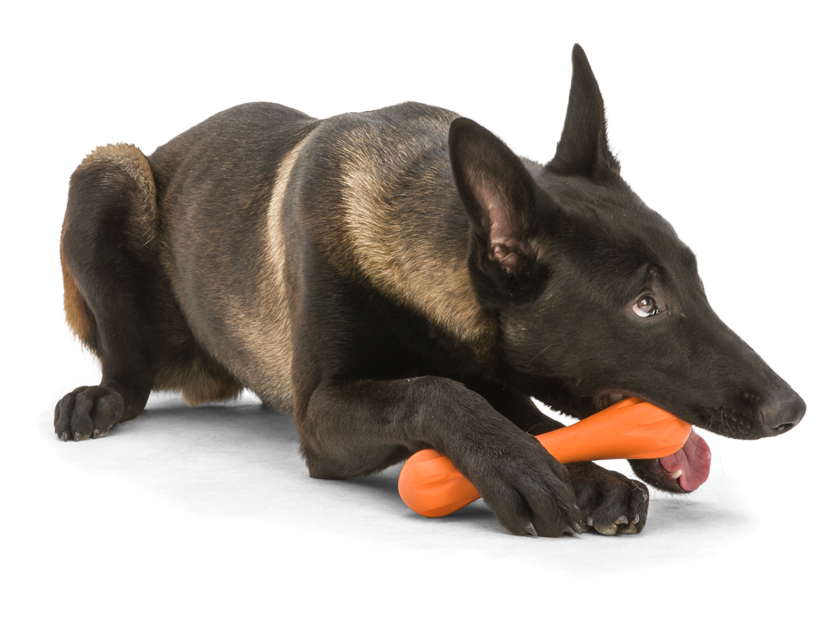 Hurley® Dog Toy for Chew, and Fetch: Granny Smith / S
