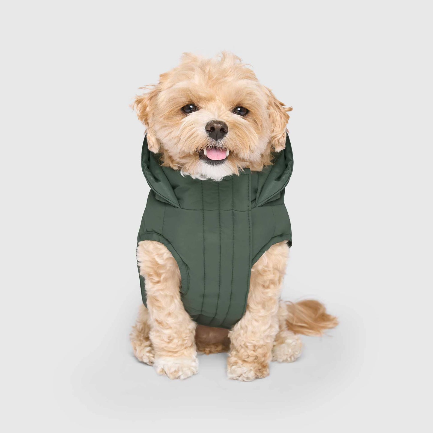 Waterproof Dog Puffer