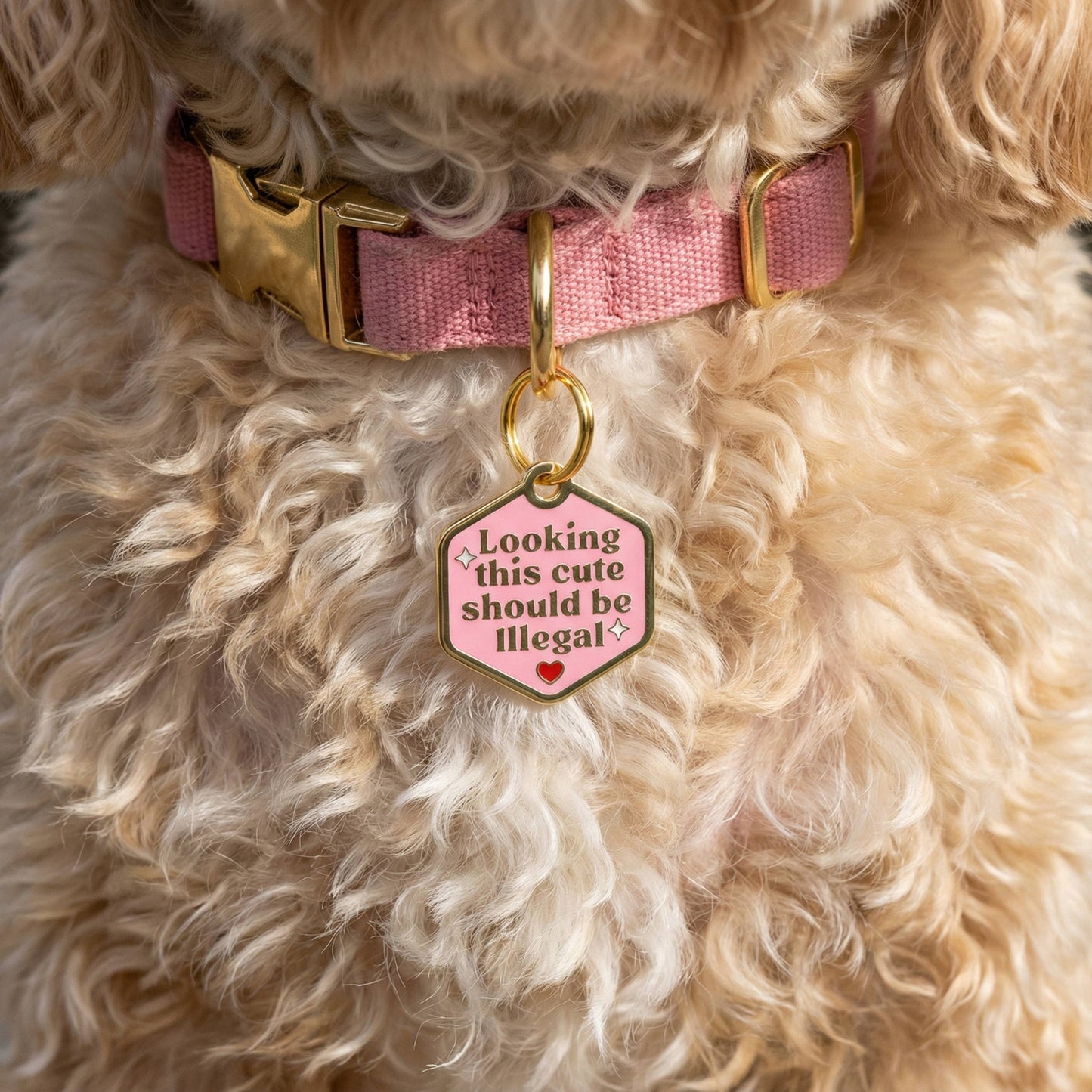 Funny Dog Tag Charm - Looking This Cute should be Illegal: Small / Engraved QR Code