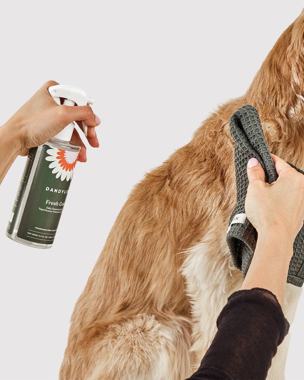 Fresh Coat Daily Cleansing Spray | Waterless No-Rinse Shampoo