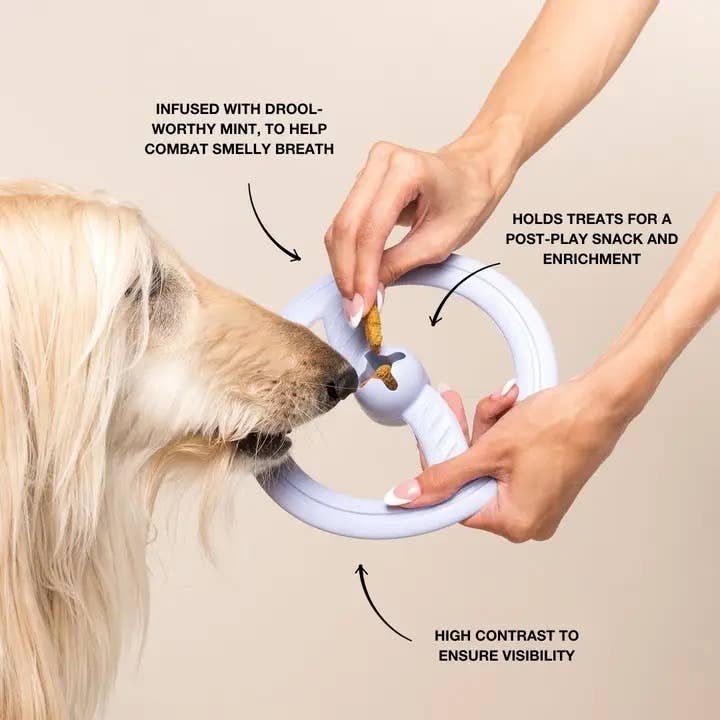 Fly Away Mint-Infused Dog Fetching & Interactive Toy: Pink