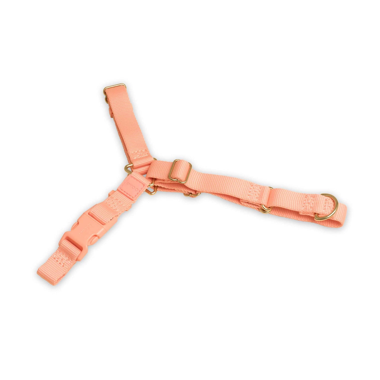 Roam Harness: SLATE