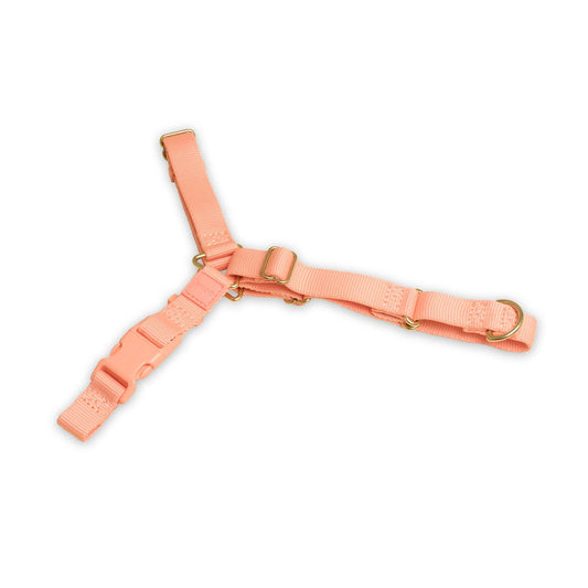 Roam Harness: PEACH / Large