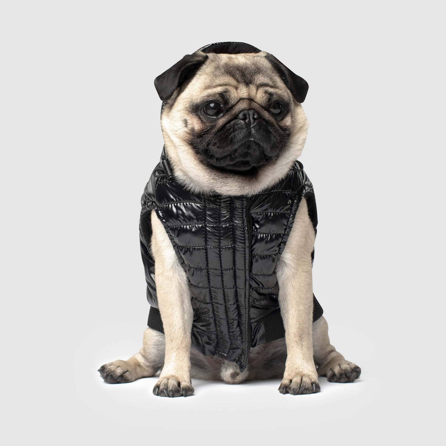 Shiny Puffer Vest- Dog Coat: Iridescent