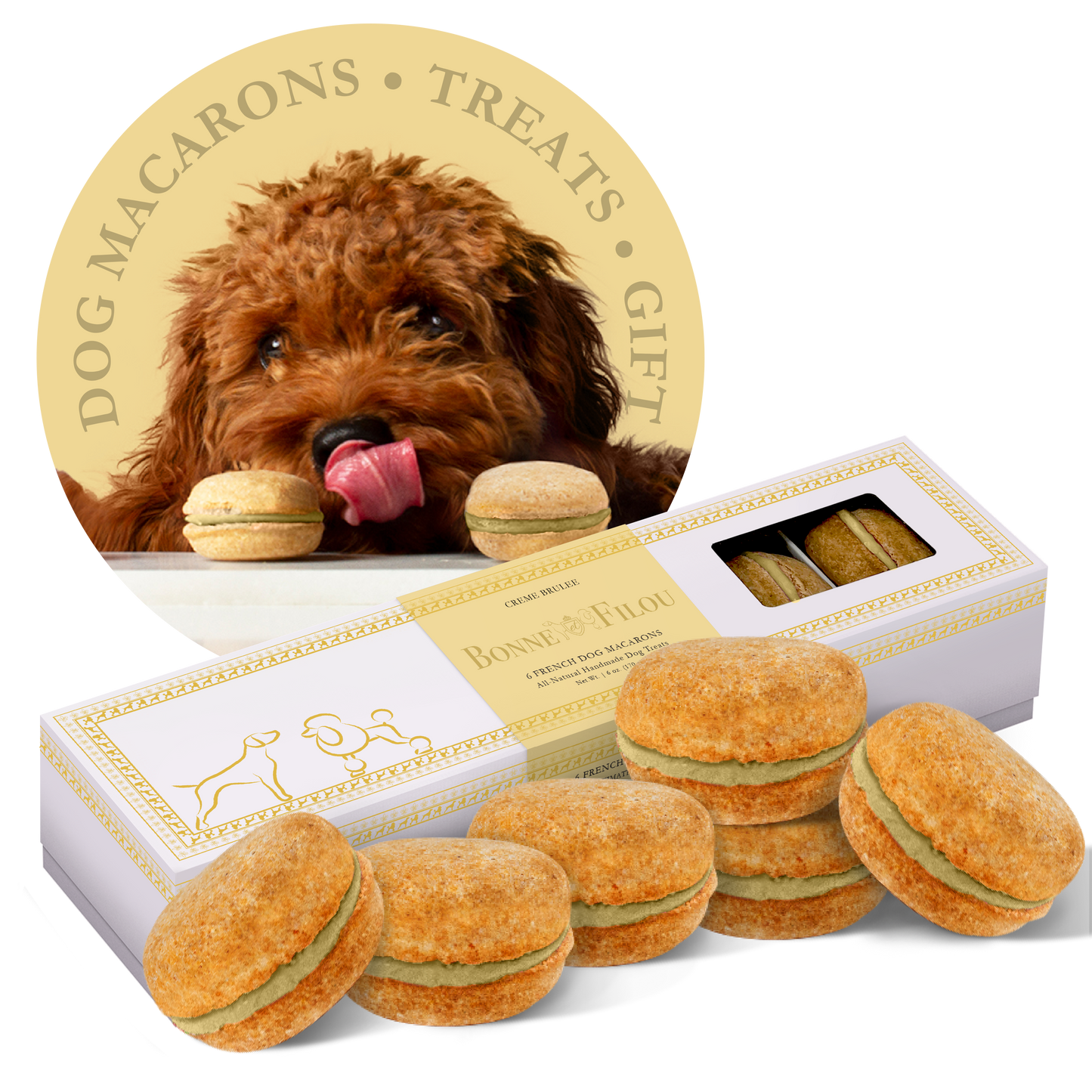 Bonne et Filou Dog Macarons | Birthday Cake