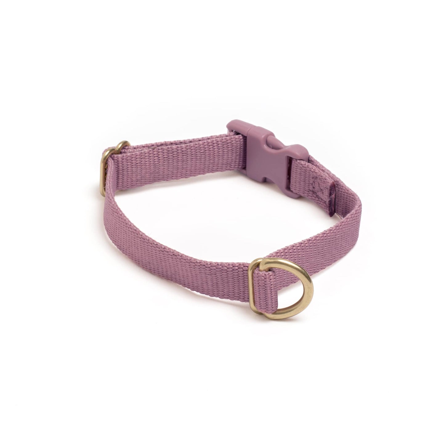 Pack Collar: PINE