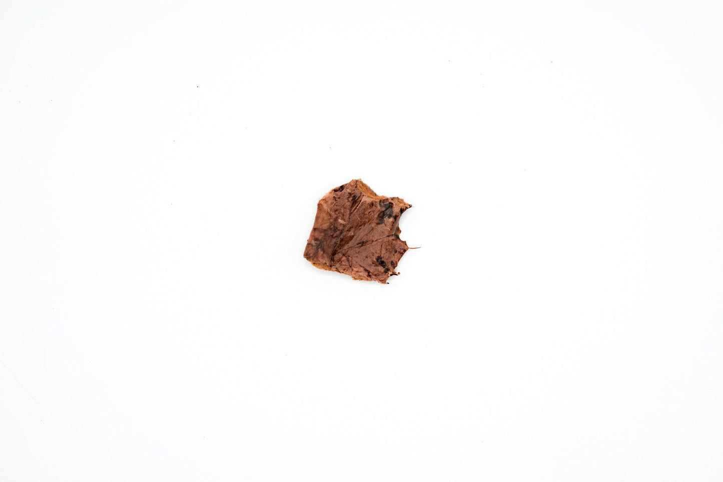 Dehydrated Beef Lung