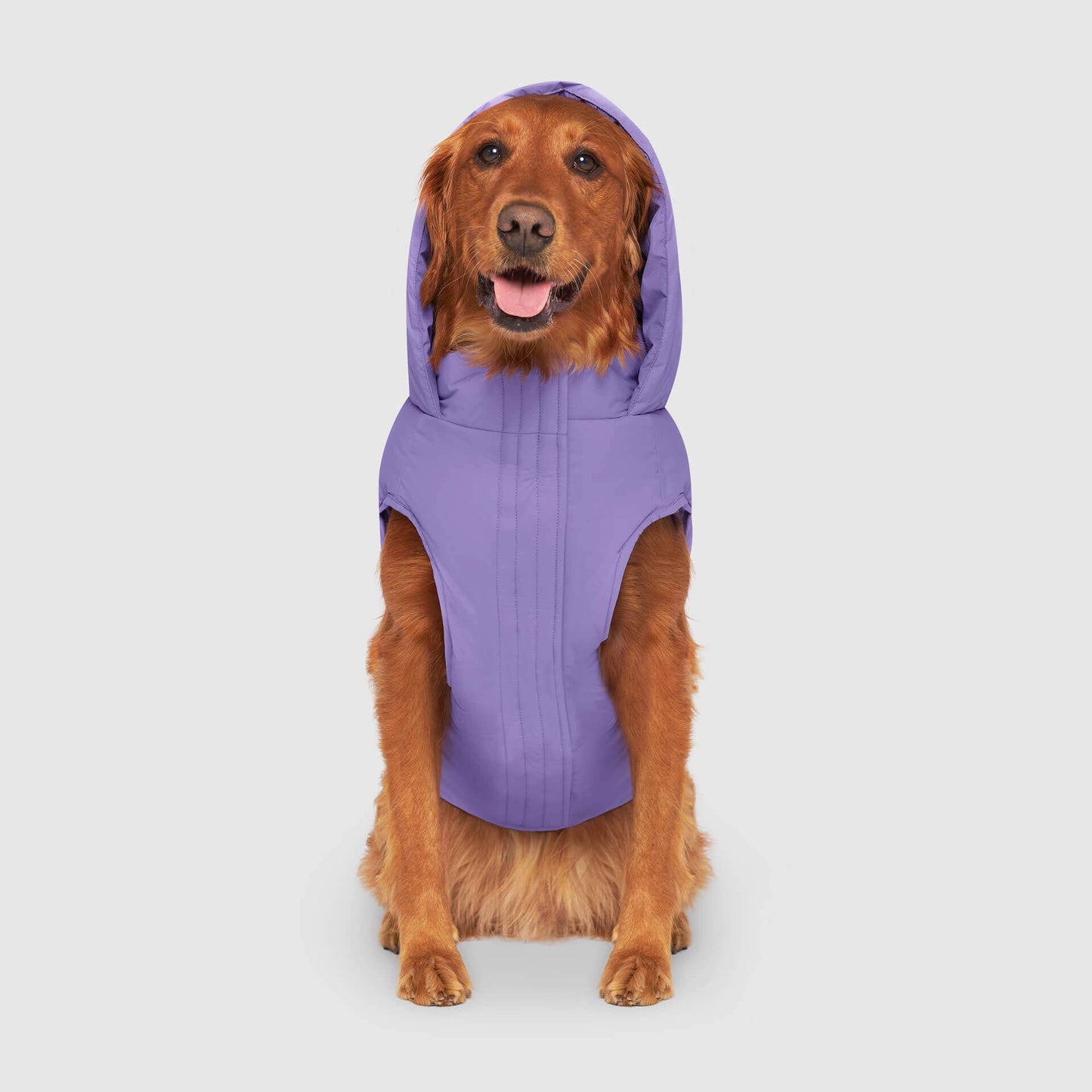 Waterproof Dog Puffer