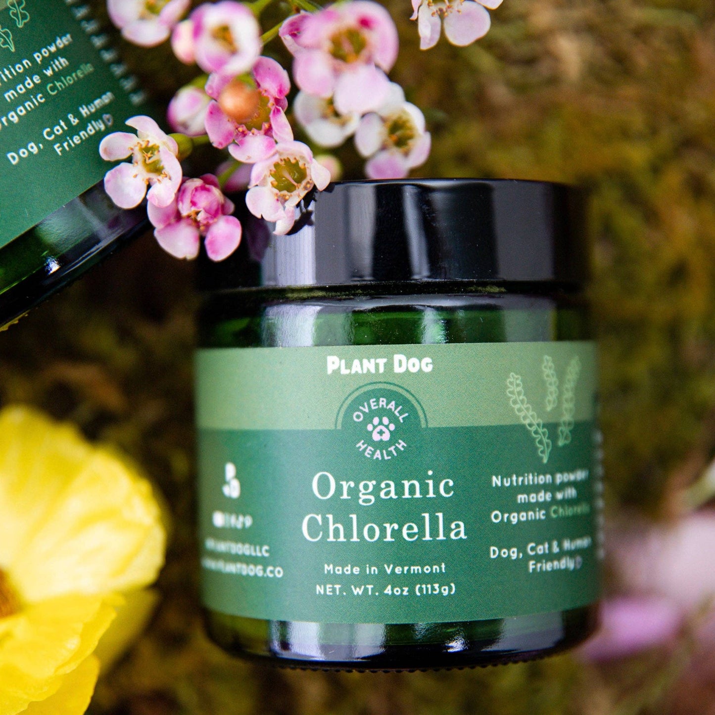 Chlorella Powder Supplement- Natural Immunity Boost
