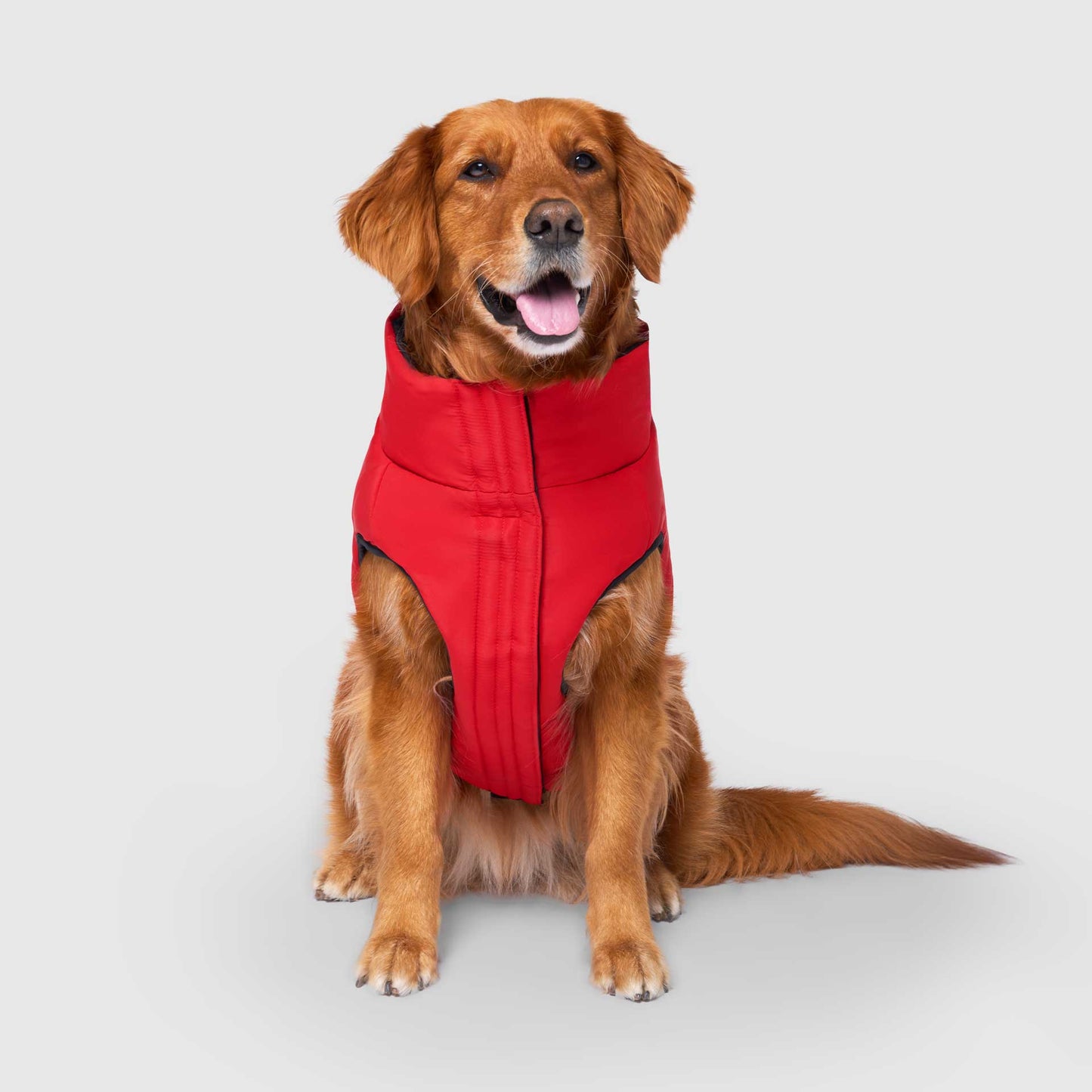 Reversible Puffer Vest- Dog Coat: Pink/Purple