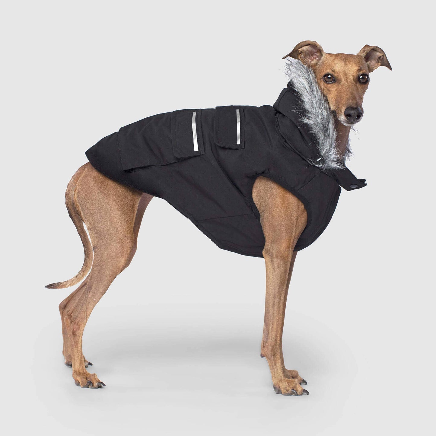 Everest Explorer Jacket- Dog Coat: Red Reflective