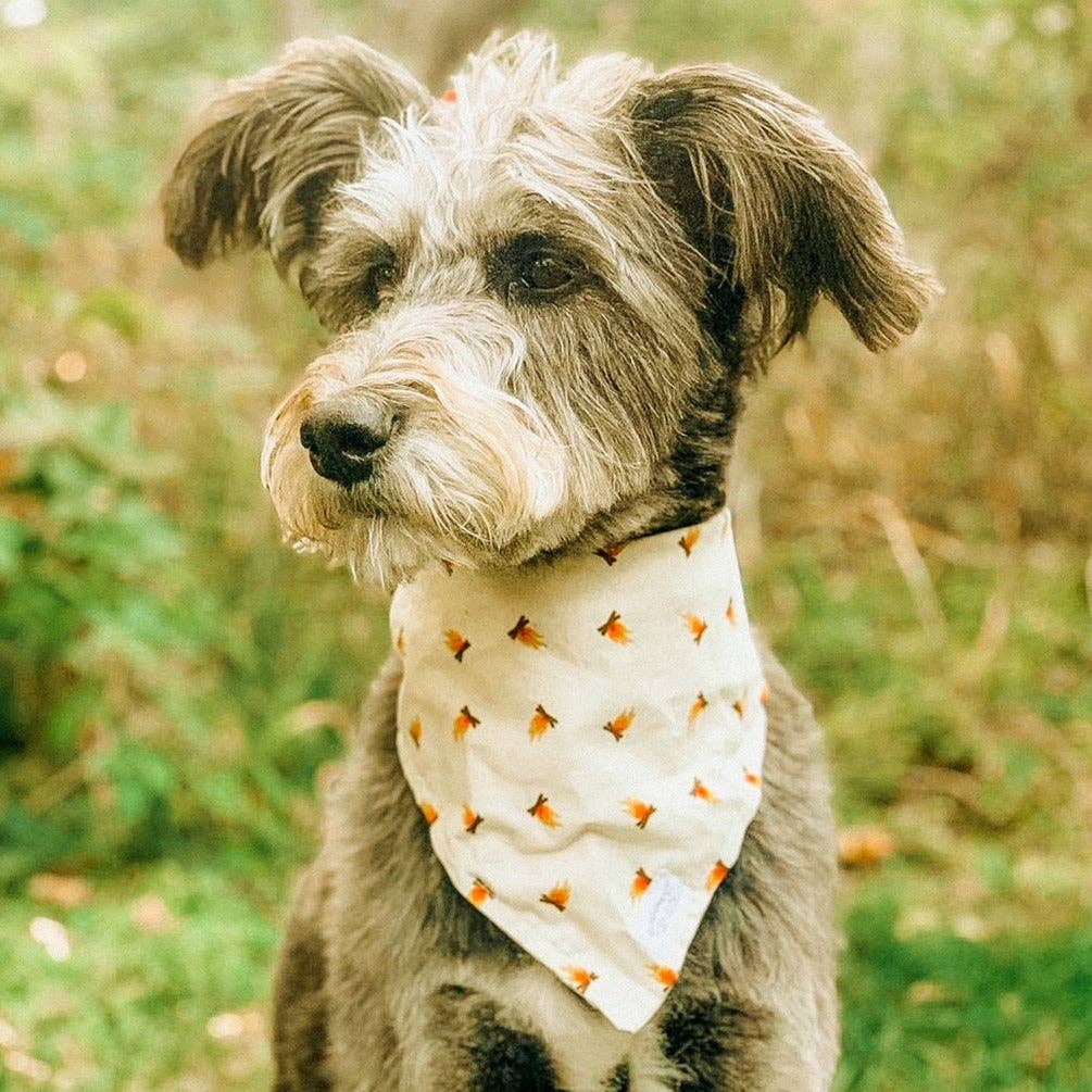 Ember Dog Bandana | Campfire Hike Outdoor Camp Pet Accessory
