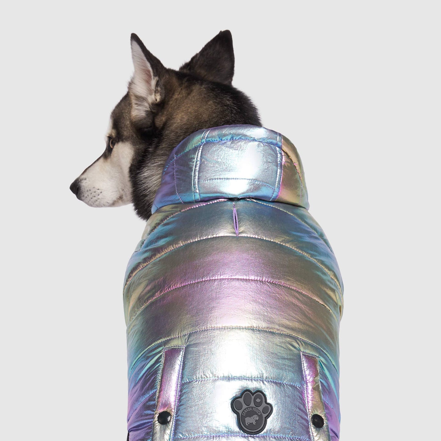 Shiny Puffer Vest- Dog Coat: Iridescent