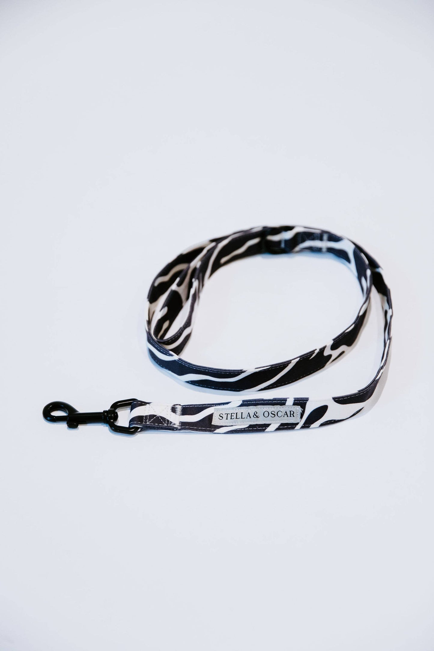 Abstract Dog Leash