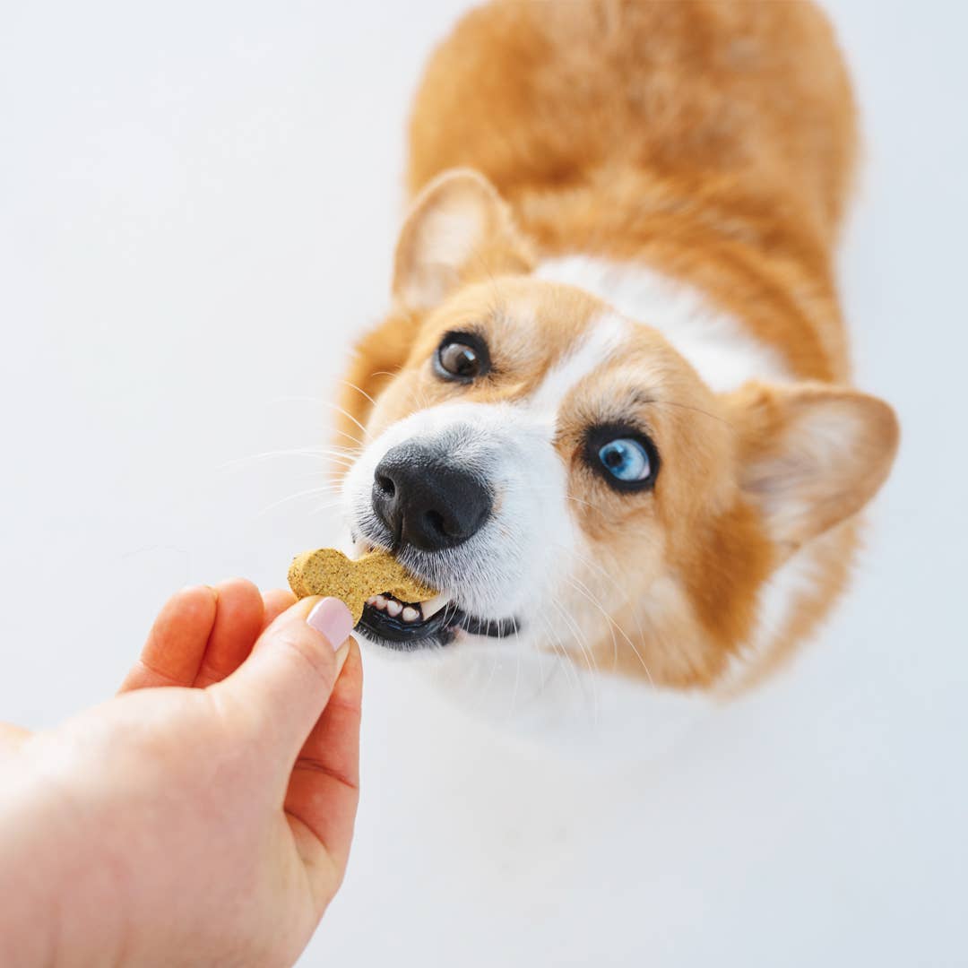 Brain Booster Dog Treats (200g)
