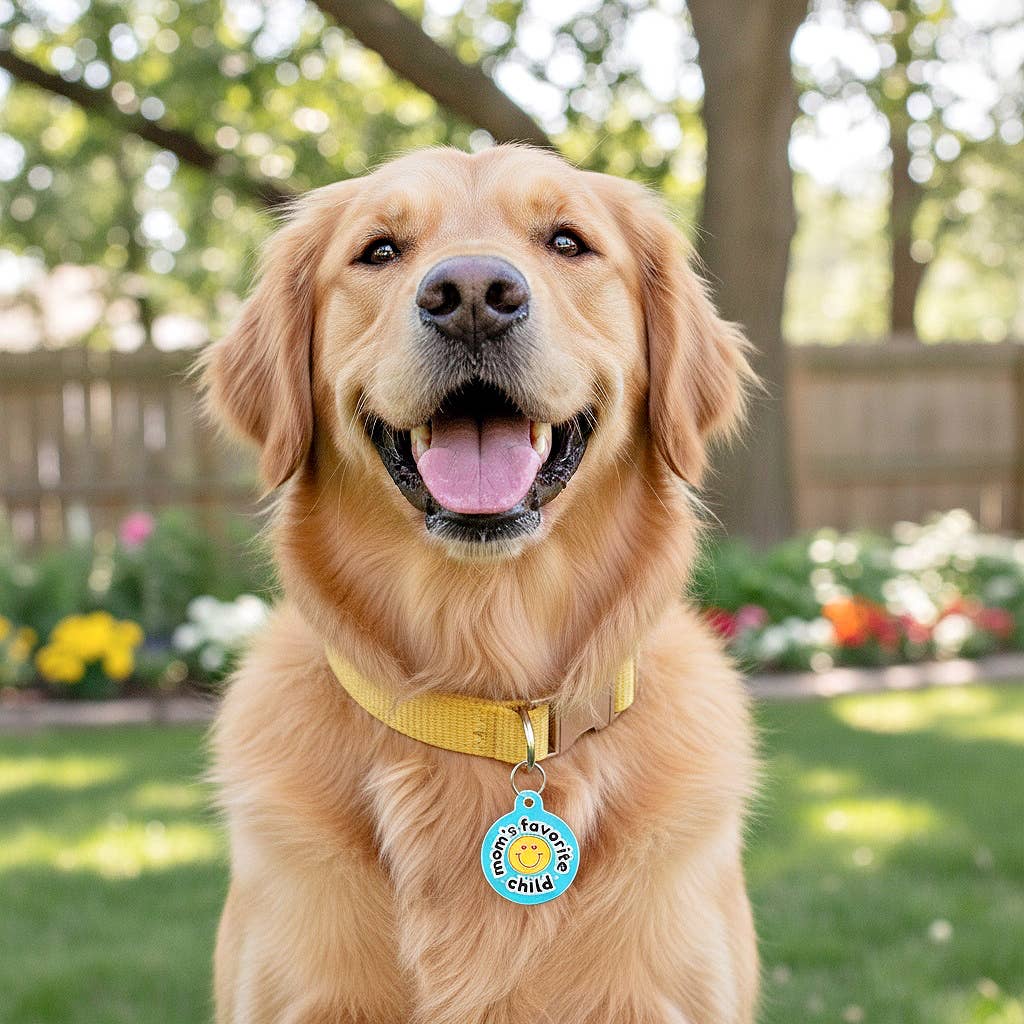 Dog ID Tag with Personalized QR Code - Mom's Favorite Child