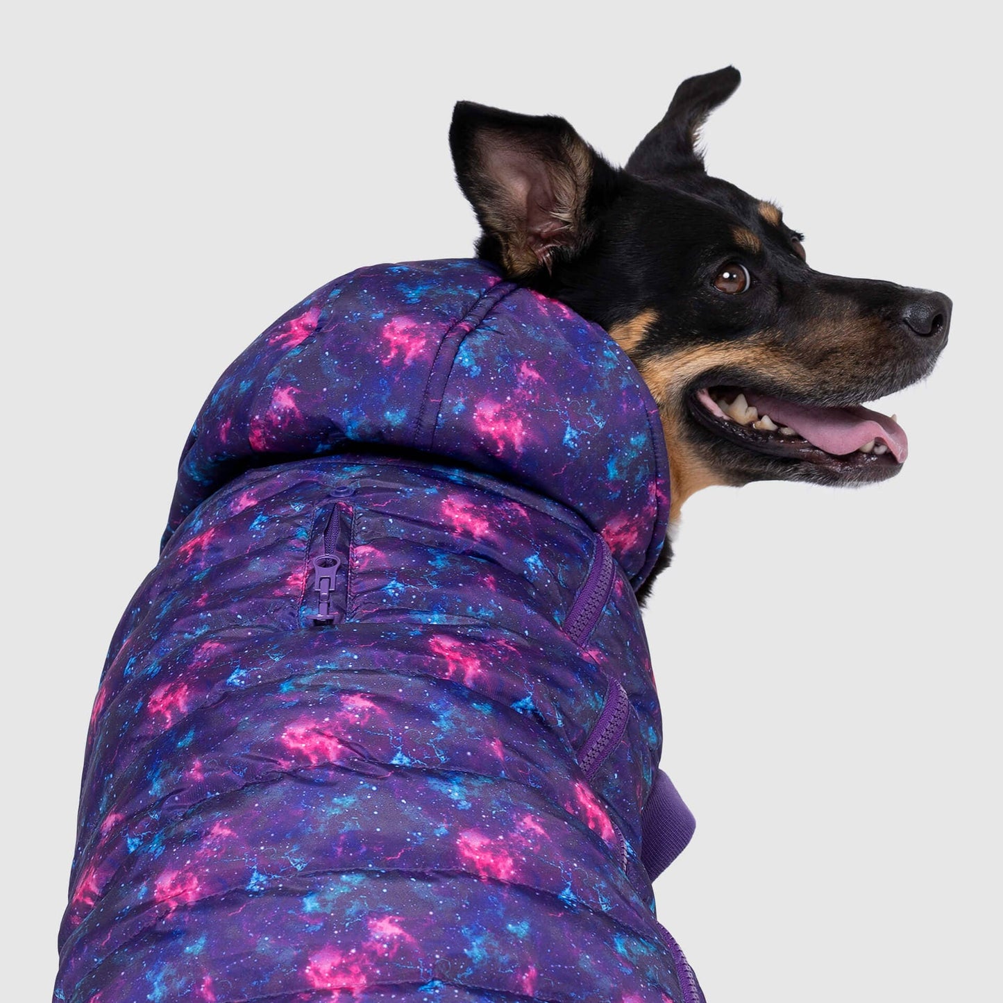 Prism Puffer- Dog Coat: Galaxy / 8