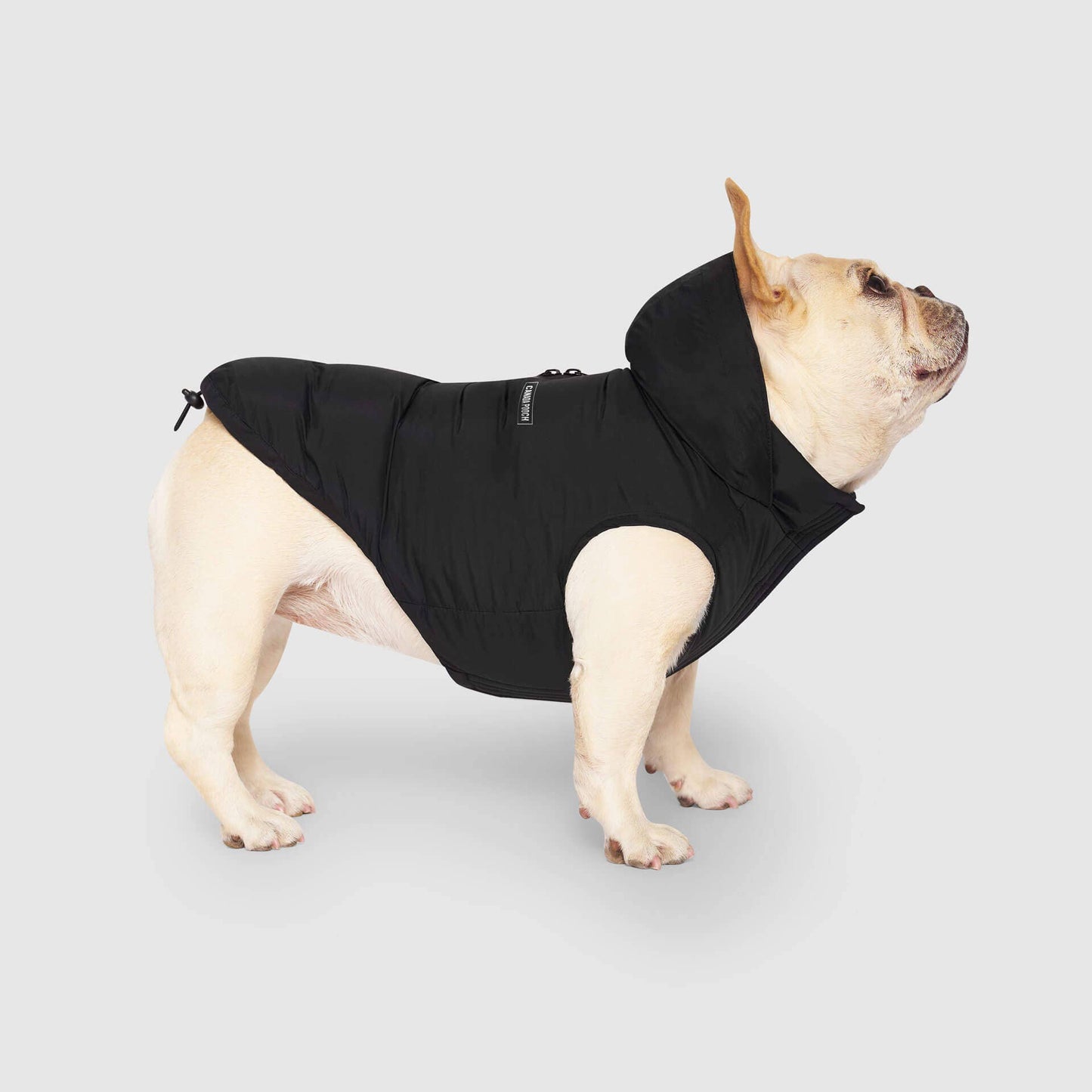 Waterproof Dog Puffer