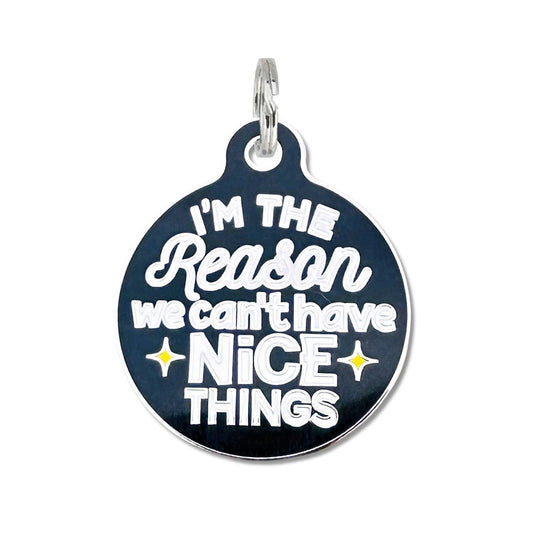Dog ID Tag Charm - Can't Have Nice Things