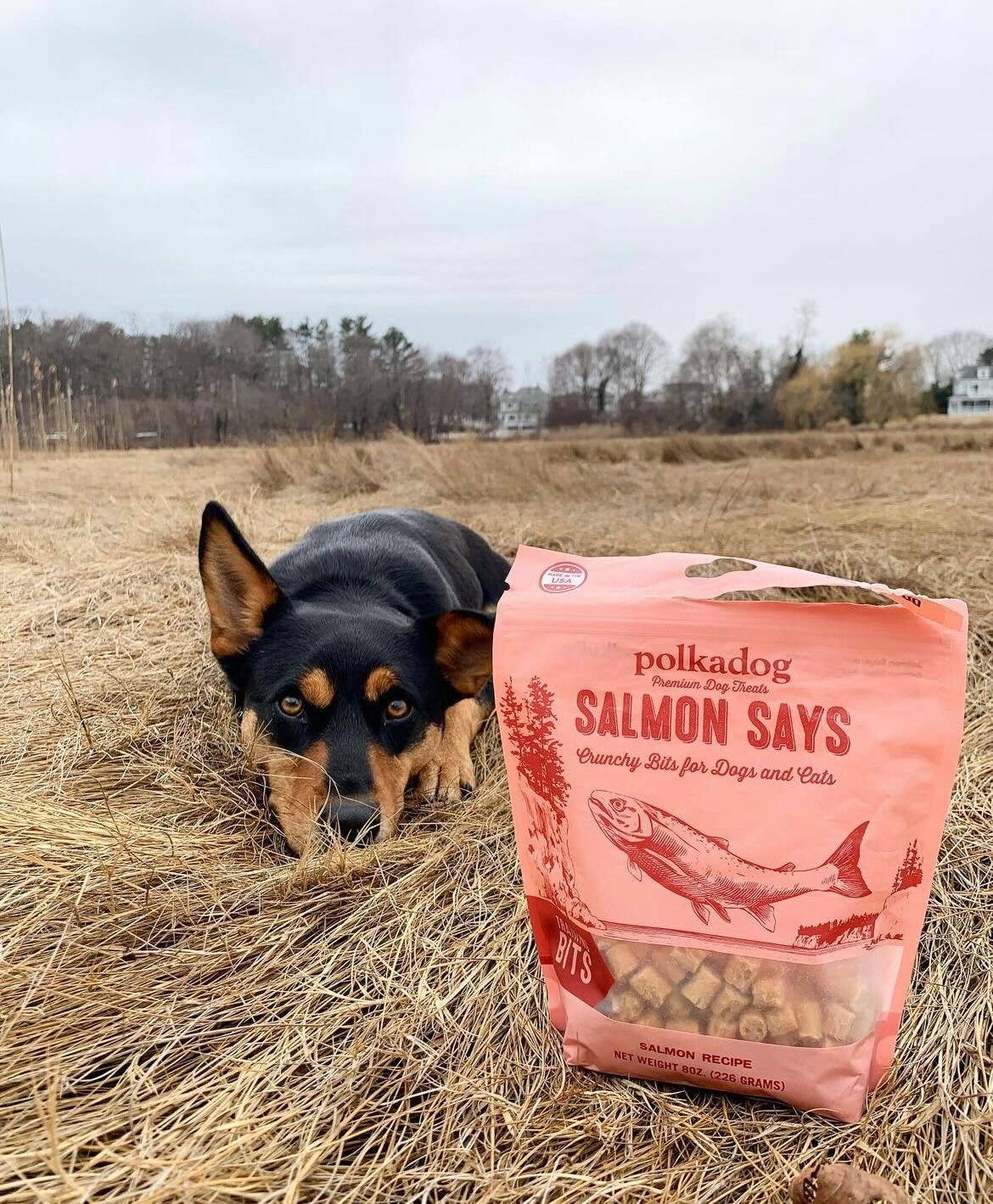 Salmon Says Training Bits - 7oz