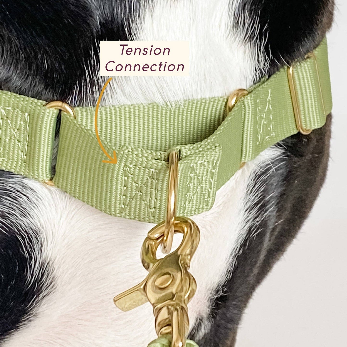 Roam Harness: SLATE